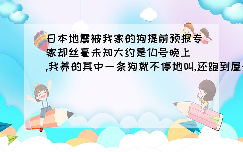 日本地震被我家的狗提前预报专家却丝毫未知大约是10号晚上,我养的其中一条狗就不停地叫,还跑到屋外淋着雨,我怕它生病就狠心把它锁起来了.接着第二天就看到电视上日本发生地震!回想起