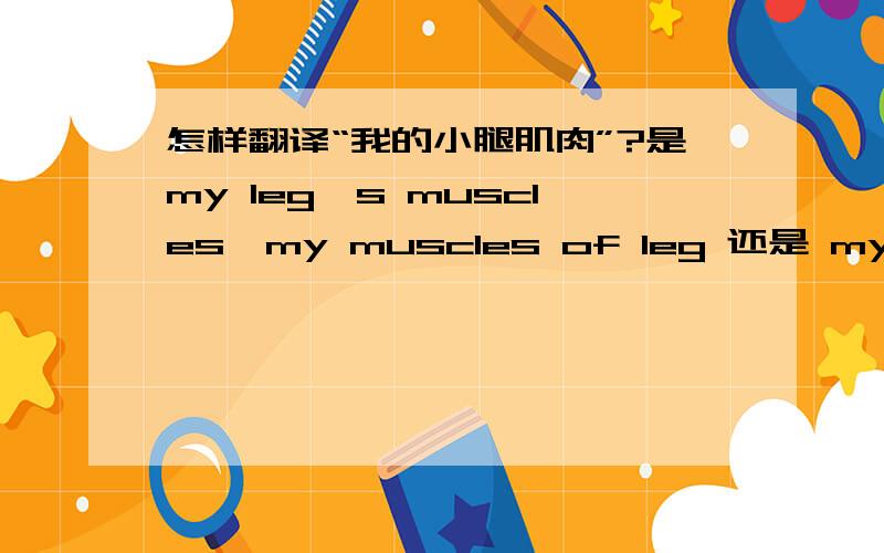 怎样翻译“我的小腿肌肉”?是my leg's muscles,my muscles of leg 还是 my leg mucles?