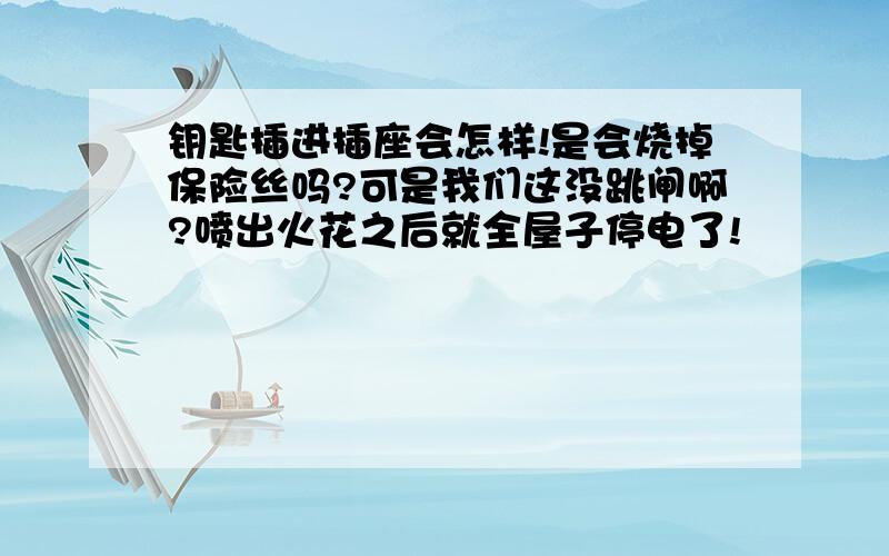 钥匙插进插座会怎样!是会烧掉保险丝吗?可是我们这没跳闸啊?喷出火花之后就全屋子停电了!