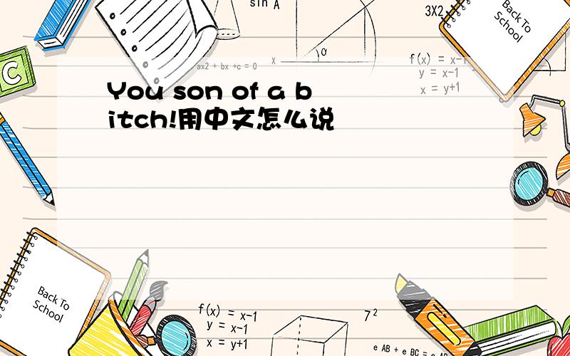 You son of a bitch!用中文怎么说