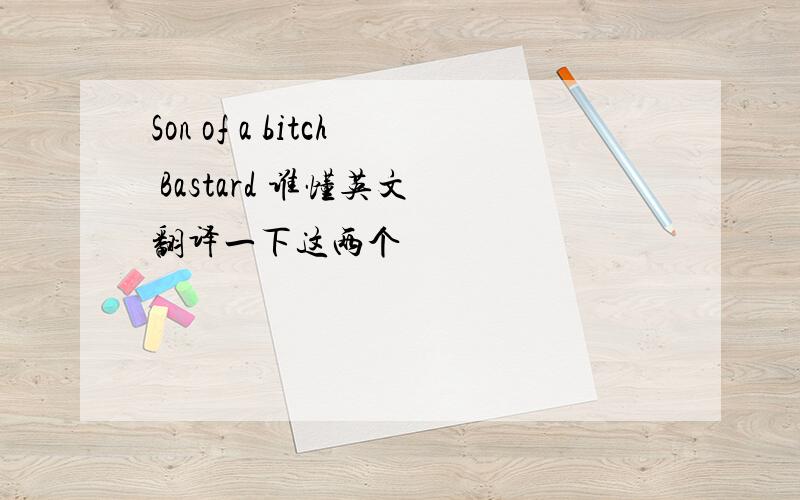 Son of a bitch Bastard 谁懂英文 翻译一下这两个