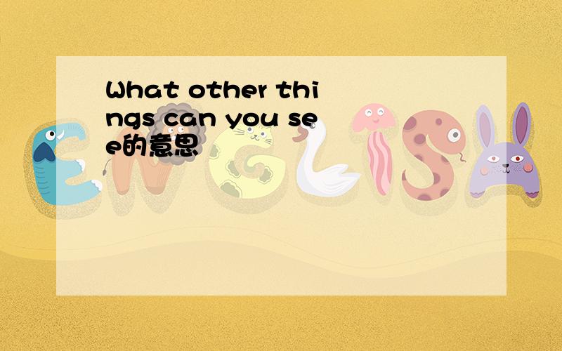 What other things can you see的意思