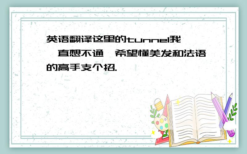 英语翻译这里的tunnel我一直想不通,希望懂美发和法语的高手支个招.