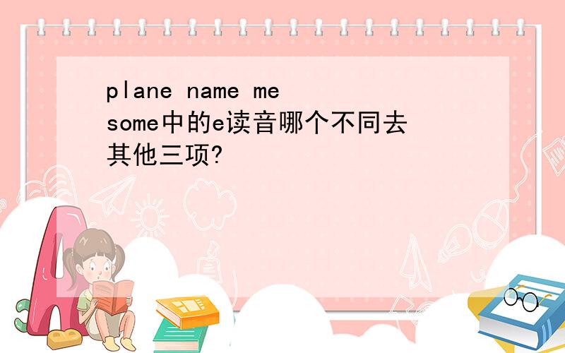 plane name me some中的e读音哪个不同去其他三项?