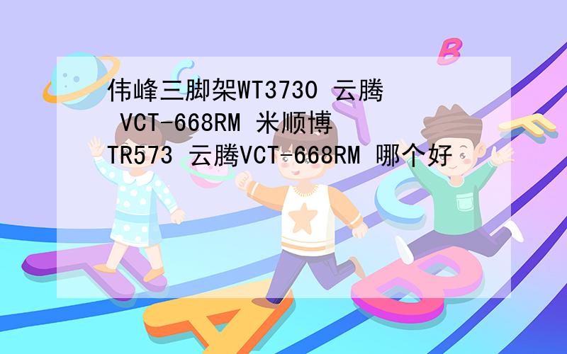 伟峰三脚架WT3730 云腾 VCT-668RM 米顺博TR573 云腾VCT-668RM 哪个好