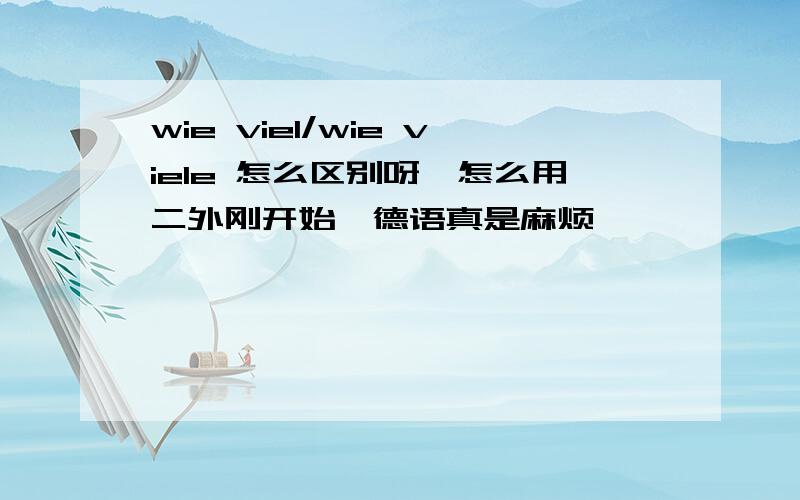 wie viel/wie viele 怎么区别呀,怎么用二外刚开始,德语真是麻烦