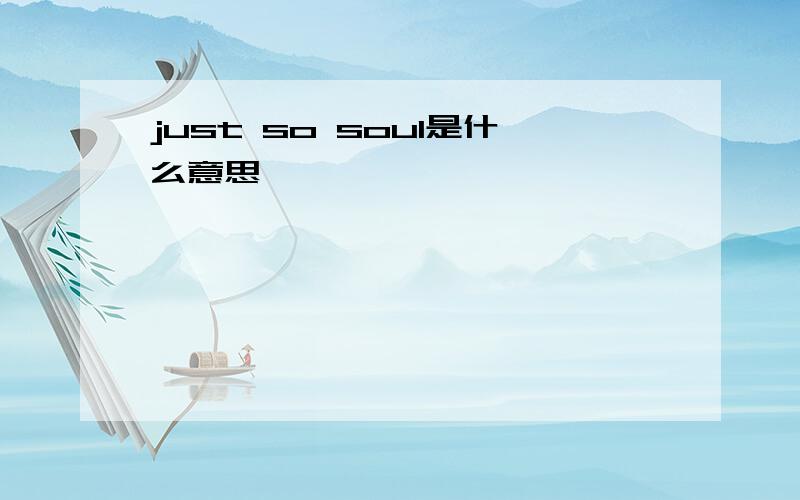 just so soul是什么意思