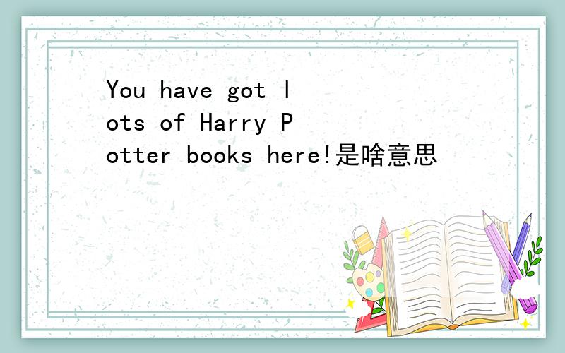 You have got lots of Harry Potter books here!是啥意思