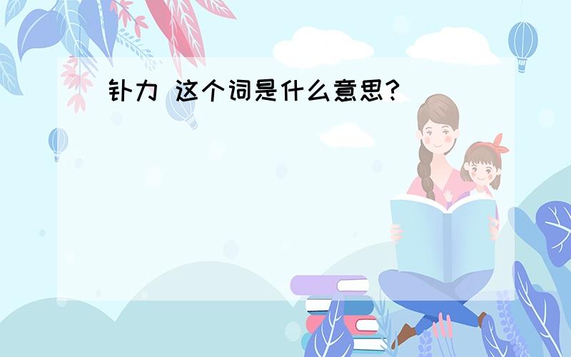 钕力 这个词是什么意思?