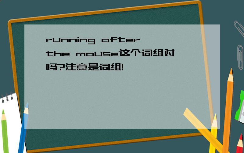 running after the mouse这个词组对吗?注意是词组!