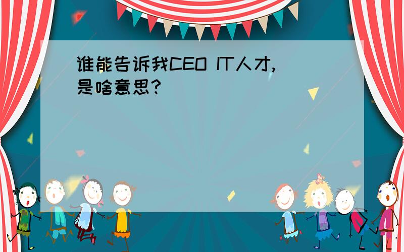 谁能告诉我CEO IT人才,是啥意思?