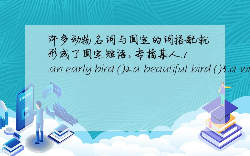 许多动物名词与固定的词搭配就形成了固定短语,专指某人.1.an early bird()2.a beautiful bird()3.a wise bird()4.a lucky dog()5.a shy fish()