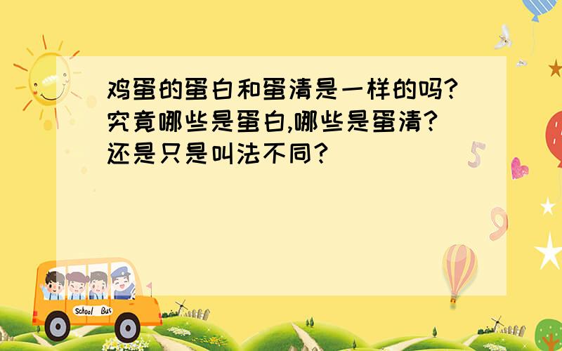 鸡蛋的蛋白和蛋清是一样的吗?究竟哪些是蛋白,哪些是蛋清?还是只是叫法不同?