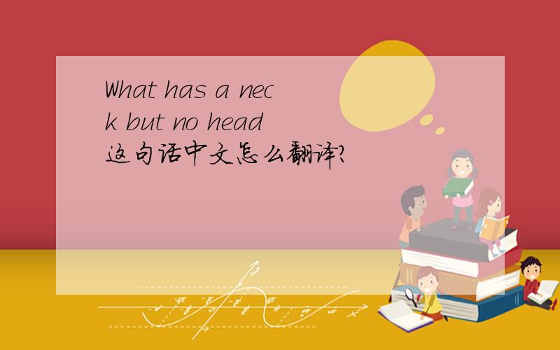 What has a neck but no head 这句话中文怎么翻译?