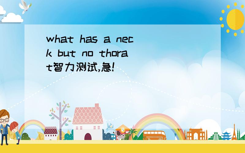 what has a neck but no thorat智力测试,急!