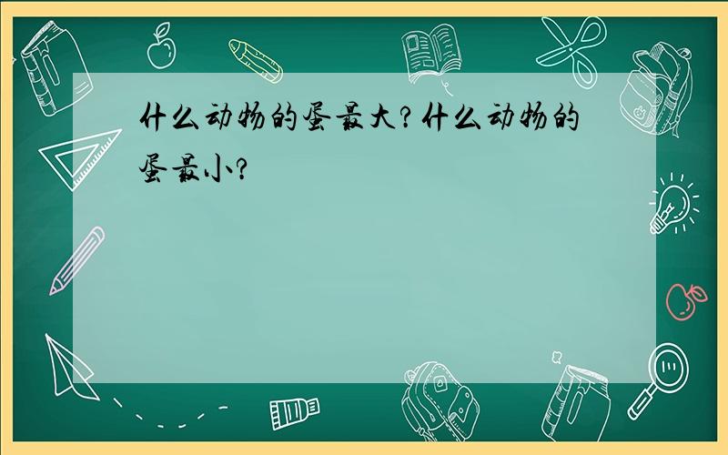 什么动物的蛋最大?什么动物的蛋最小?