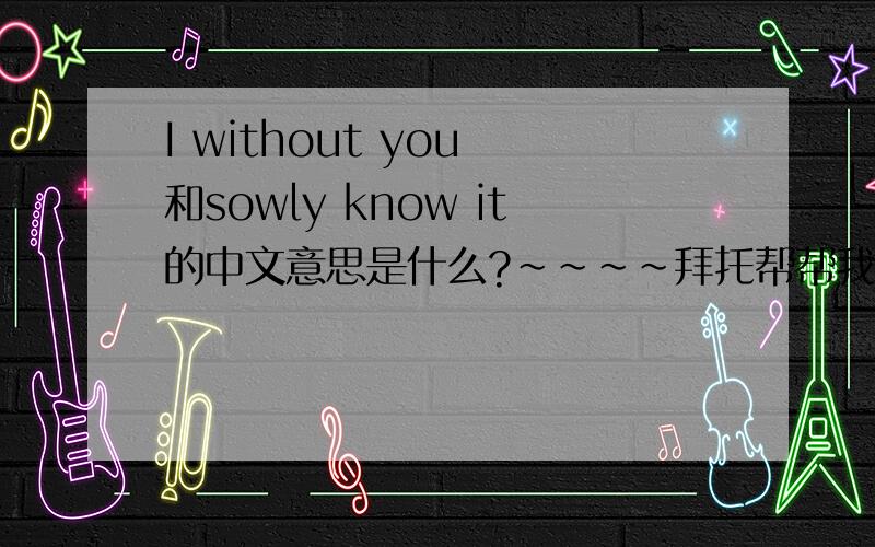 I without you 和sowly know it的中文意思是什么?~~~~拜托帮帮我~~