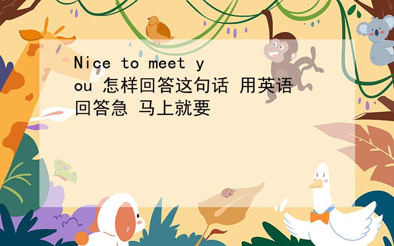 Nice to meet you 怎样回答这句话 用英语回答急 马上就要