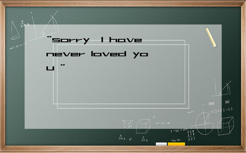 “sorry,I have never loved you ”