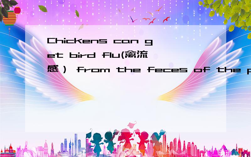 Chickens can get bird flu(禽流感） from the feces of the p_____ birds p处填一个英语单词?