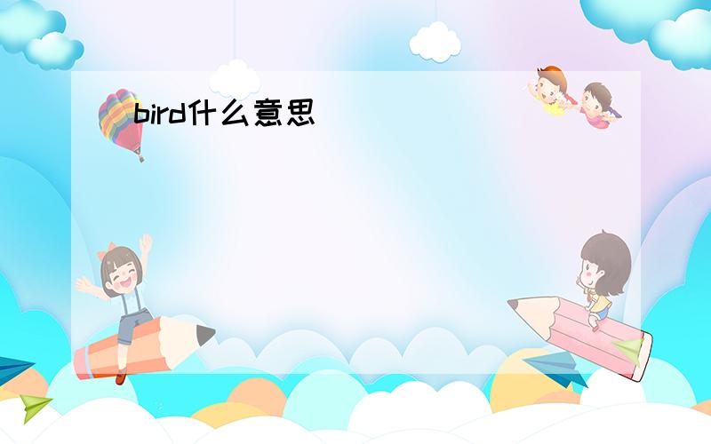 bird什么意思