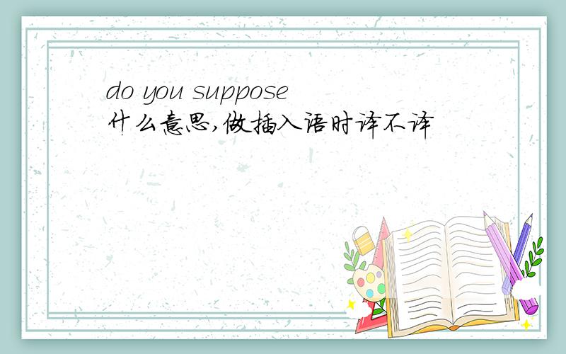 do you suppose什么意思,做插入语时译不译