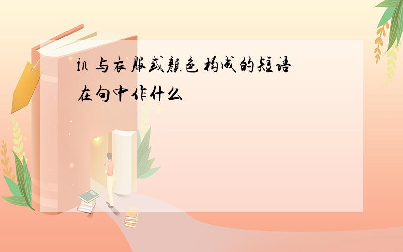 in 与衣服或颜色构成的短语在句中作什么