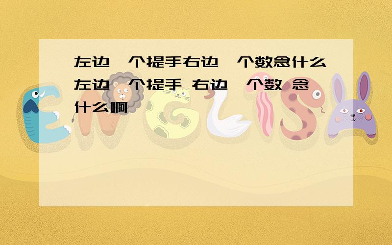 左边一个提手右边一个数念什么左边一个提手 右边一个数 念什么啊