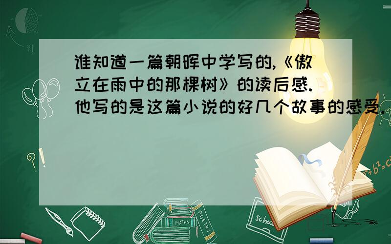 谁知道一篇朝晖中学写的,《傲立在雨中的那棵树》的读后感.他写的是这篇小说的好几个故事的感受.