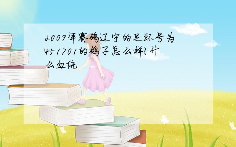 2009年赛鸽辽宁的足环号为451701的鸽子怎么样?什么血统