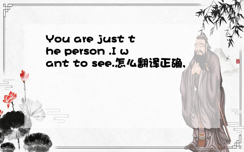 You are just the person .I want to see.怎么翻译正确,