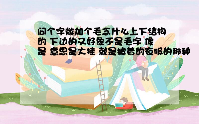 问个字敞加个毛念什么上下结构的 下边的又好象不是毛字 像是 意思是大挂 就是披着的衣服的那种