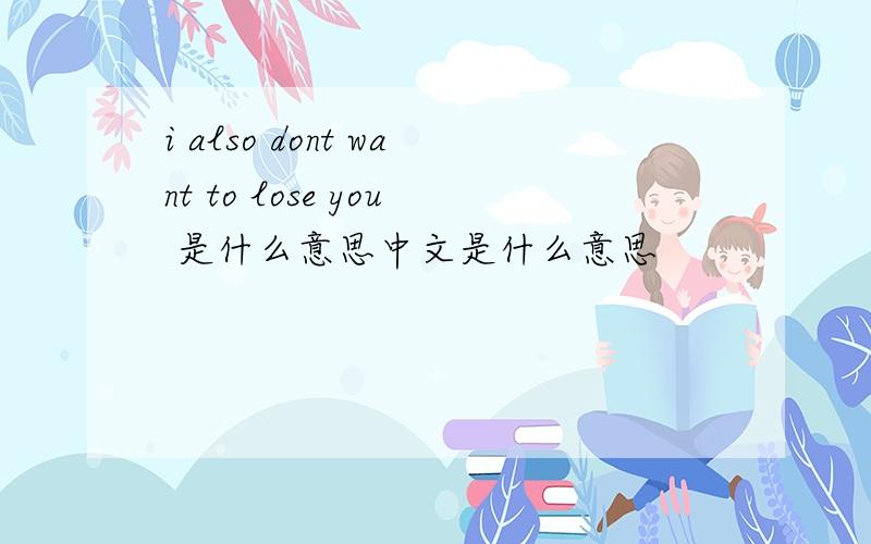 i also dont want to lose you 是什么意思中文是什么意思