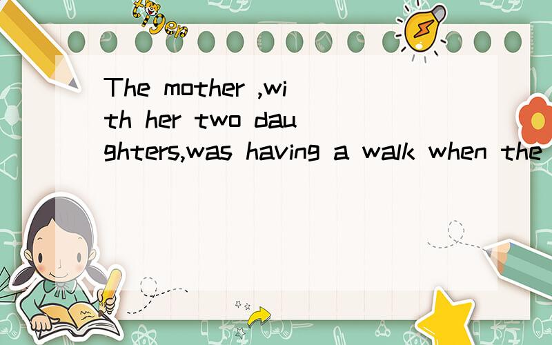 The mother ,with her two daughters,was having a walk when the accident happened.with her two daughters,在这里作什么成分?