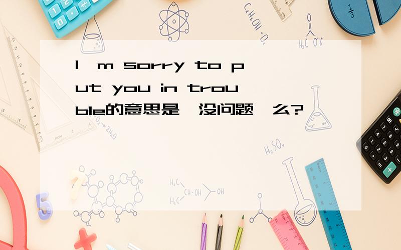 I'm sorry to put you in trouble的意思是
