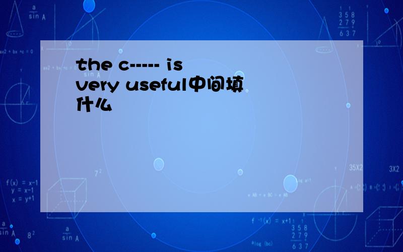 the c----- is very useful中间填什么