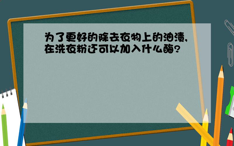 为了更好的除去衣物上的油渍,在洗衣粉还可以加入什么酶?