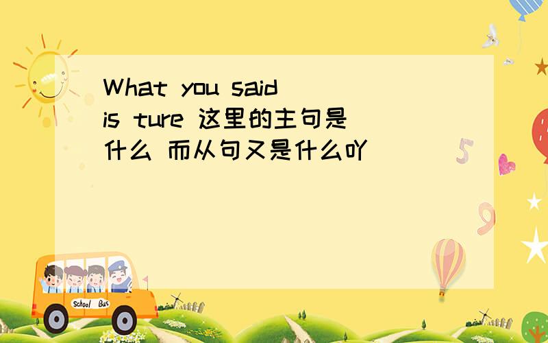 What you said is ture 这里的主句是什么 而从句又是什么吖