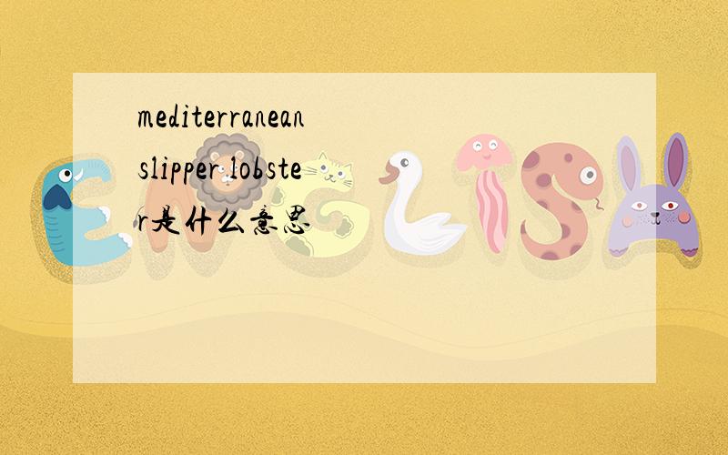 mediterranean slipper lobster是什么意思