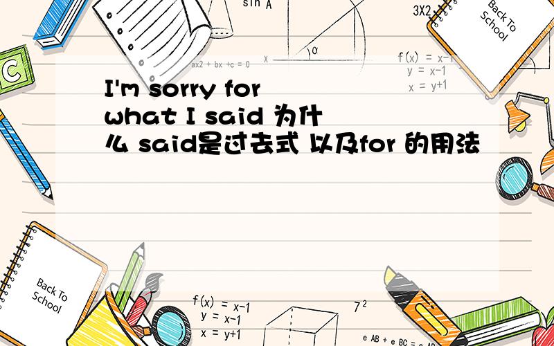 I'm sorry for what I said 为什么 said是过去式 以及for 的用法