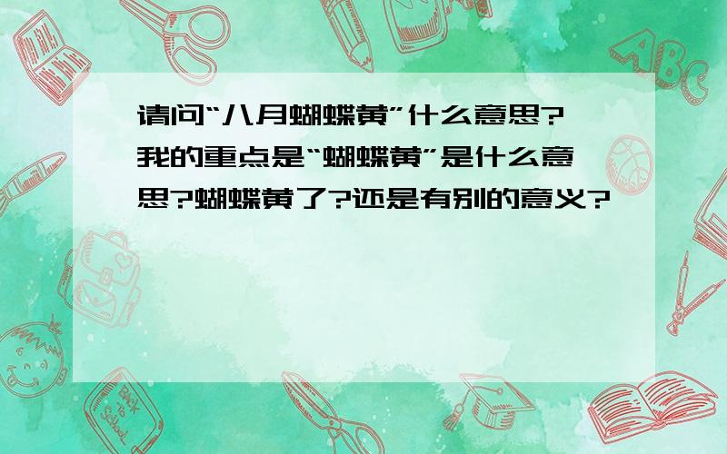 请问“八月蝴蝶黄”什么意思?我的重点是“蝴蝶黄”是什么意思?蝴蝶黄了?还是有别的意义?