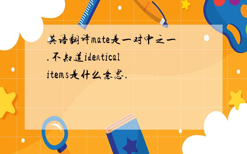 英语翻译mate是一对中之一.不知道identical items是什么意思.