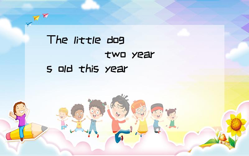 The little dog ____ two years old this year