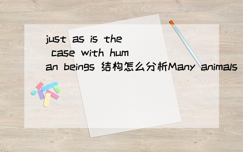 just as is the case with human beings 结构怎么分析Many animals sleep a lot when young,but sleep much less when they get older,just as is the case with human beings.最后半句的结构怎么分析?