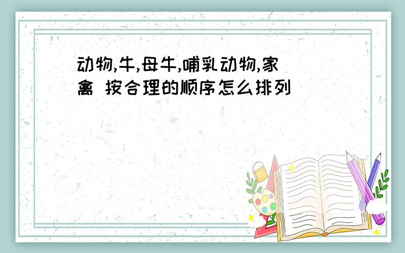 动物,牛,母牛,哺乳动物,家禽 按合理的顺序怎么排列