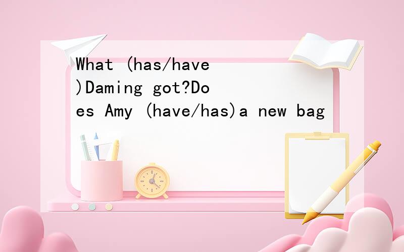 What (has/have)Daming got?Does Amy (have/has)a new bag