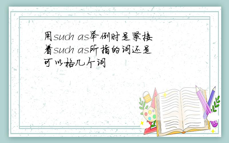 用such as举例时是紧接着such as所指的词还是可以格几个词