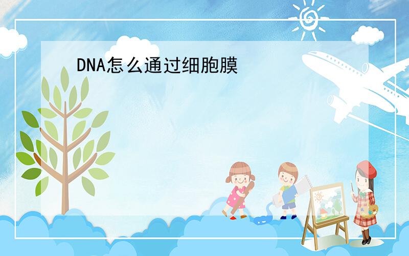 DNA怎么通过细胞膜