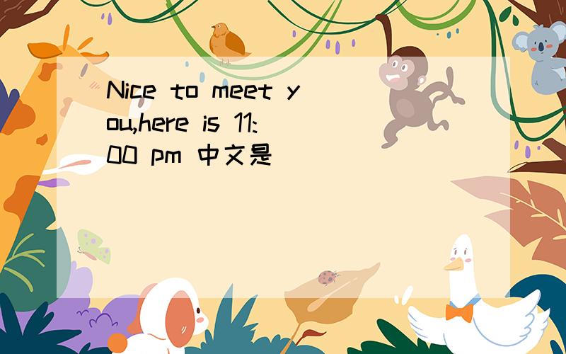 Nice to meet you,here is 11:00 pm 中文是