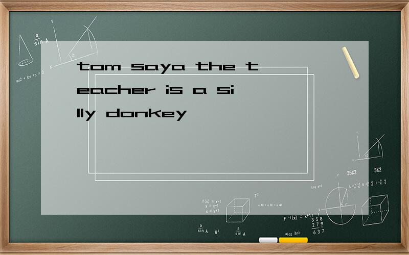 tom saya the teacher is a silly donkey